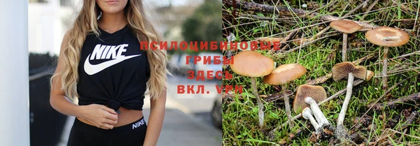 скорость mdpv Алексеевка